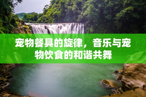 宠物餐具的旋律，音乐与宠物饮食的和谐共舞