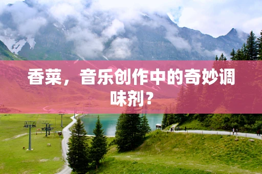 香菜，音乐创作中的奇妙调味剂？