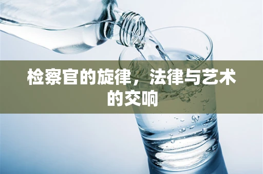 检察官的旋律，法律与艺术的交响