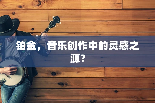 铂金，音乐创作中的灵感之源？