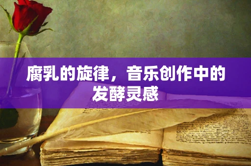 腐乳的旋律，音乐创作中的发酵灵感