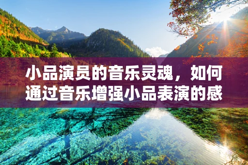 小品演员的音乐灵魂，如何通过音乐增强小品表演的感染力？