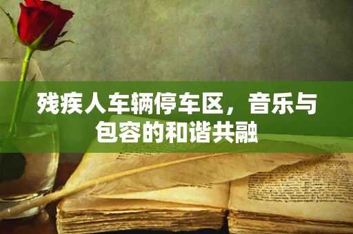 残疾人车辆停车区，音乐与包容的和谐共融