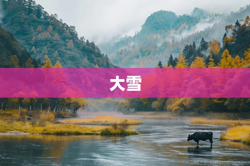 大雪