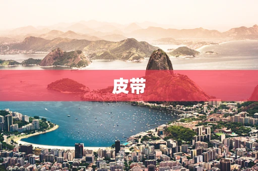 皮带