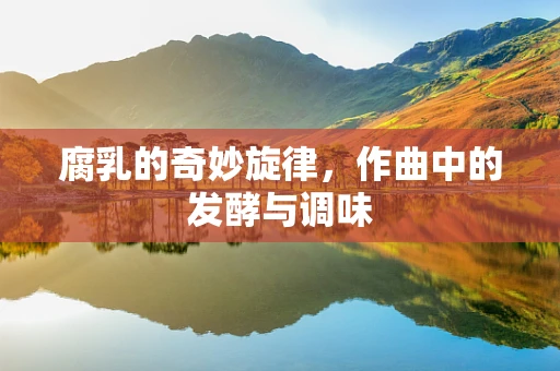 腐乳的奇妙旋律，作曲中的发酵与调味