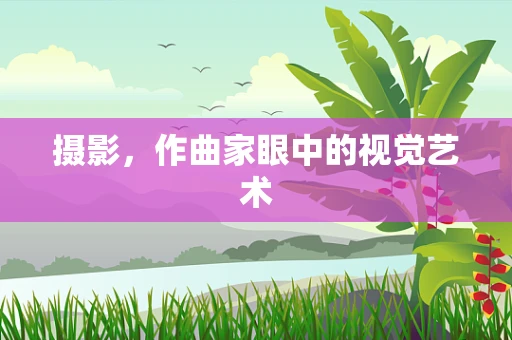 摄影，作曲家眼中的视觉艺术