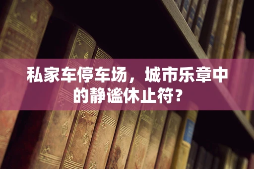 私家车停车场，城市乐章中的静谧休止符？