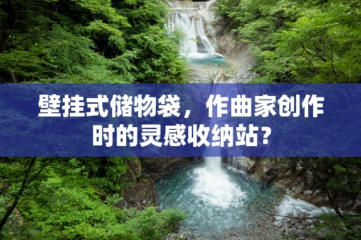 壁挂式储物袋，作曲家创作时的灵感收纳站？