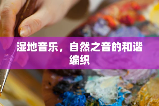 湿地音乐，自然之音的和谐编织