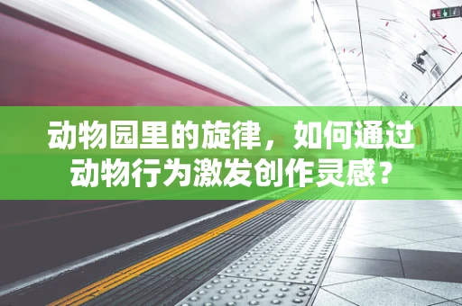 动物园里的旋律，如何通过动物行为激发创作灵感？