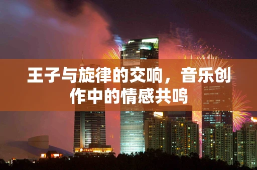王子与旋律的交响，音乐创作中的情感共鸣