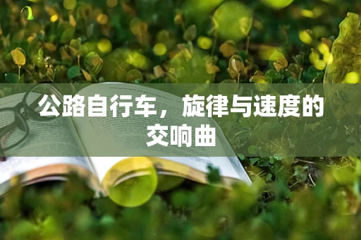 公路自行车，旋律与速度的交响曲