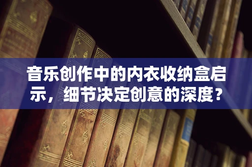 音乐创作中的内衣收纳盒启示，细节决定创意的深度？