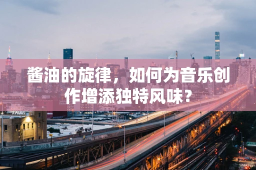 酱油的旋律，如何为音乐创作增添独特风味？