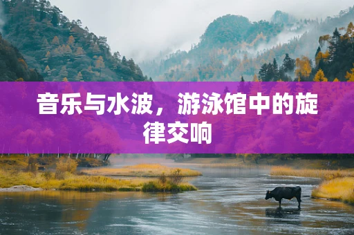 音乐与水波，游泳馆中的旋律交响
