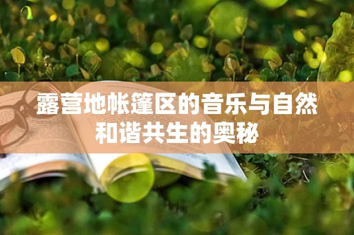 露营地帐篷区的音乐与自然和谐共生的奥秘