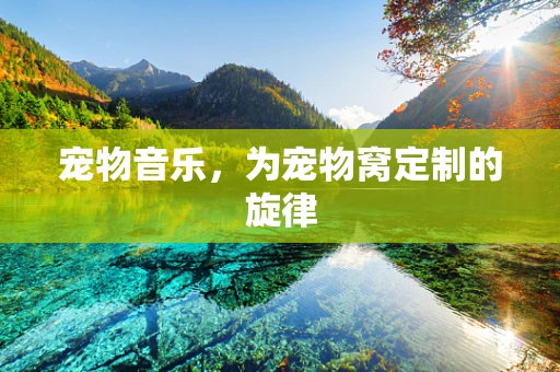 宠物音乐，为宠物窝定制的旋律