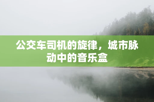 公交车司机的旋律，城市脉动中的音乐盒