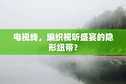 电视线，编织视听盛宴的隐形纽带？