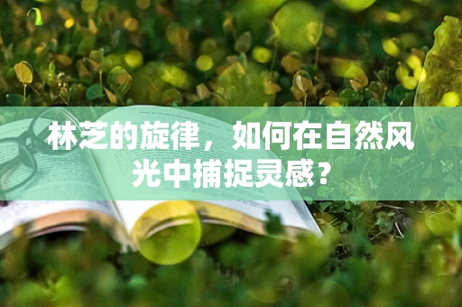 林芝的旋律，如何在自然风光中捕捉灵感？