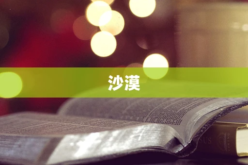 沙漠