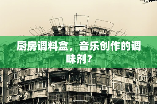 厨房调料盒，音乐创作的调味剂？