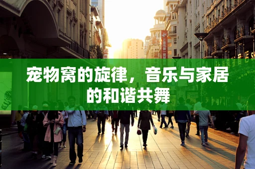 宠物窝的旋律，音乐与家居的和谐共舞