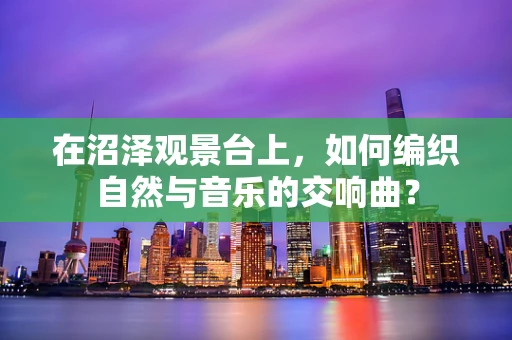 在沼泽观景台上，如何编织自然与音乐的交响曲？