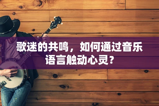 歌迷的共鸣，如何通过音乐语言触动心灵？