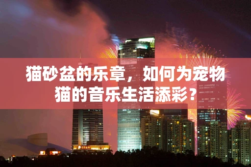 猫砂盆的乐章，如何为宠物猫的音乐生活添彩？