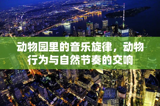 动物园里的音乐旋律，动物行为与自然节奏的交响