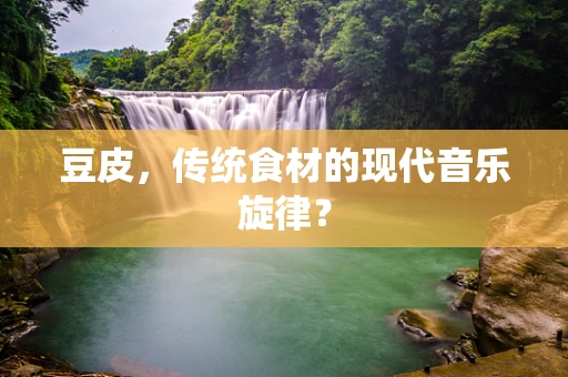 豆皮，传统食材的现代音乐旋律？