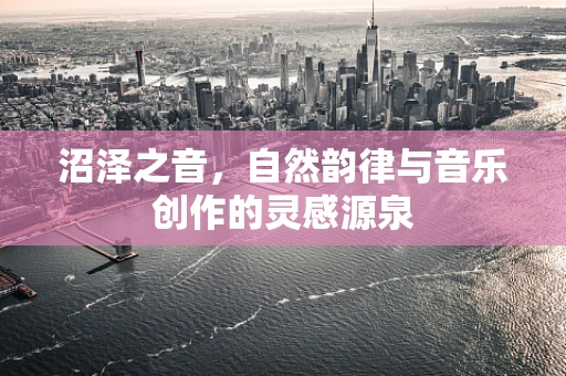 沼泽之音，自然韵律与音乐创作的灵感源泉