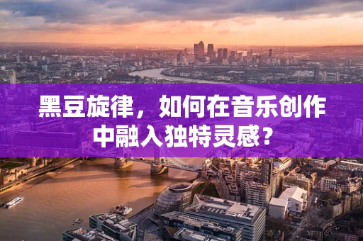 黑豆旋律，如何在音乐创作中融入独特灵感？