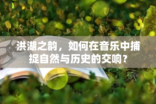 洪湖之韵，如何在音乐中捕捉自然与历史的交响？