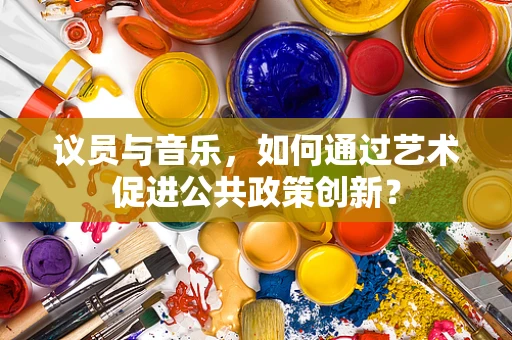 议员与音乐，如何通过艺术促进公共政策创新？