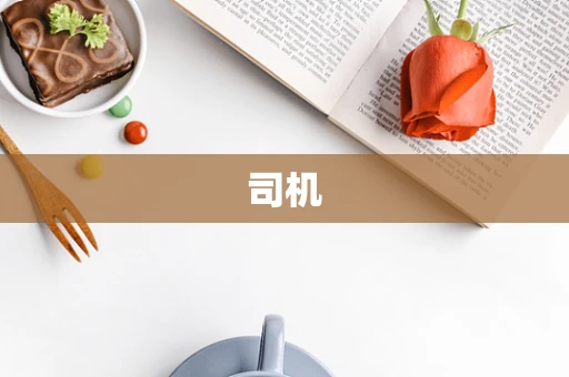 司机