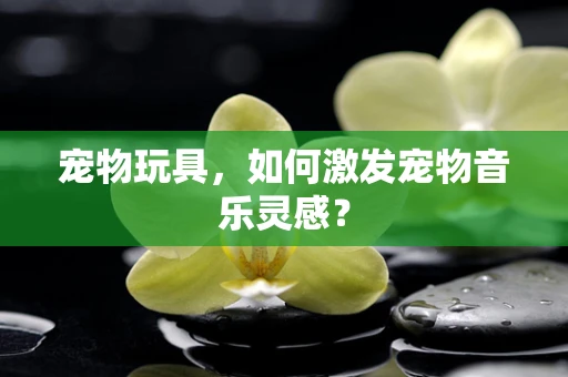 宠物玩具，如何激发宠物音乐灵感？