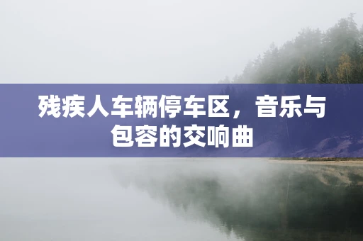 残疾人车辆停车区，音乐与包容的交响曲