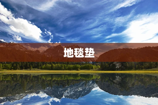 地毯垫