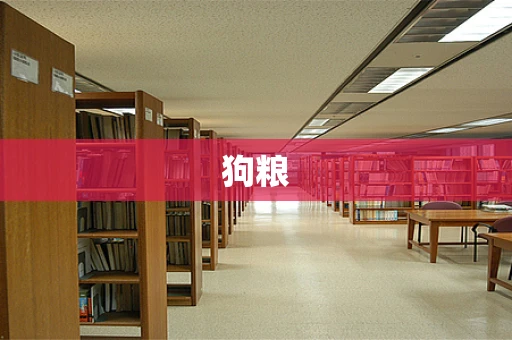 狗粮