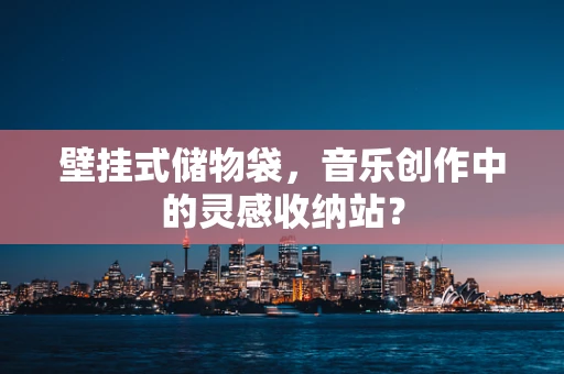 壁挂式储物袋，音乐创作中的灵感收纳站？
