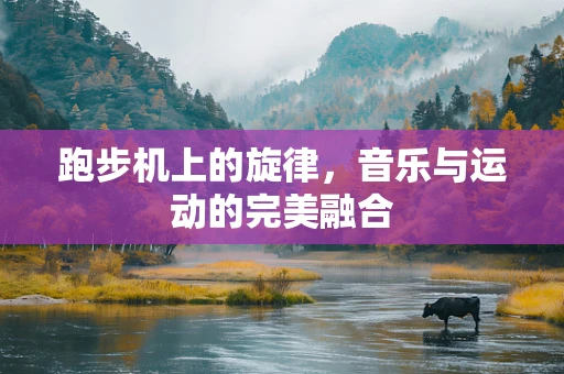 跑步机上的旋律，音乐与运动的完美融合