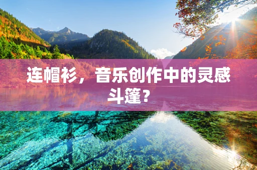 连帽衫，音乐创作中的灵感斗篷？