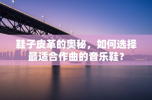 鞋子皮革的奥秘，如何选择最适合作曲的音乐鞋？