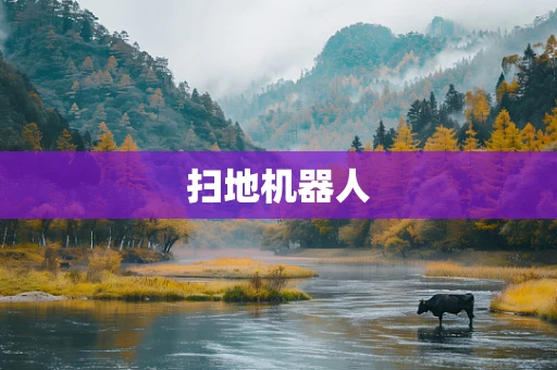 扫地机器人