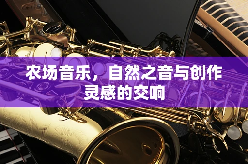 农场音乐，自然之音与创作灵感的交响
