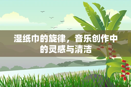 湿纸巾的旋律，音乐创作中的灵感与清洁