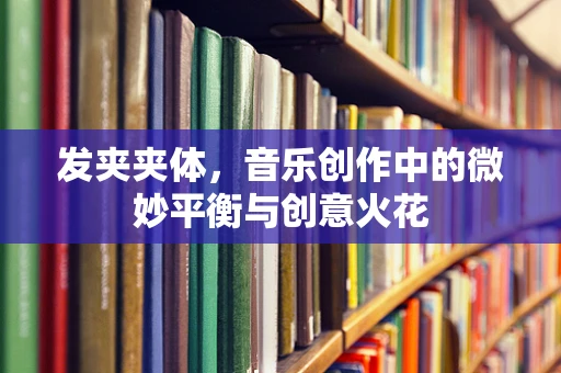 发夹夹体，音乐创作中的微妙平衡与创意火花